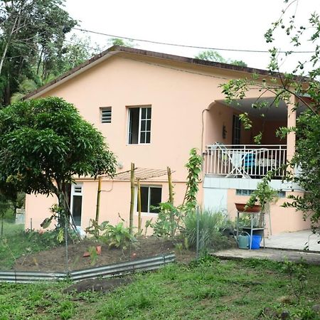 Maison Lavanne Saint-Joseph Экстерьер фото